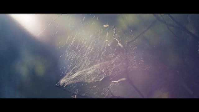 Lorem ipsum dolor sit amet consectetur adipiscing elit sed do eiusmod tempor